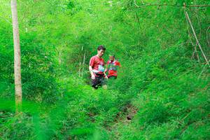 BIB: 
                            <button type="button" onclick="openModal(22092158)" class="btn btn-primary btn-sm float-right btn-popup" data-toggle="modal" data-target=".modal-high-quality">
                        <i class="fas fa-shopping-cart"></i> Add to Cart
                    </button>
                                            <button type="button" onclick="isThisMe(22092158, true)" class="btn btn-success btn-sm float-right btn-popup btn-isme hidden" data-toggle="tooltip" data-placement="bottom" title="นี่คือรูปของคุณใช่ไหม คลิกที่นี่เพื่อเอาเข้าอัลบั้ม">
                        <i class="fas fa-plus"></i> Add to album
                    </button>
                    <button type="button" onclick="isThisMe(22092158, false)" class="btn btn-warning btn-sm float-right btn-popup btn-isnotme hidden">
                        <i class="fas fa-ban"></i> Remove from album
                    </button>